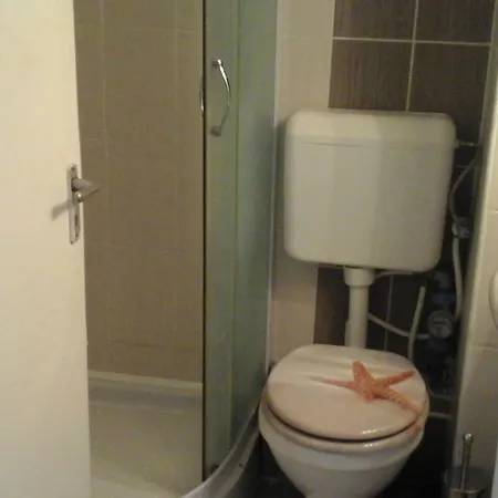Tulipan Tarsasudulo Ferienhaus *